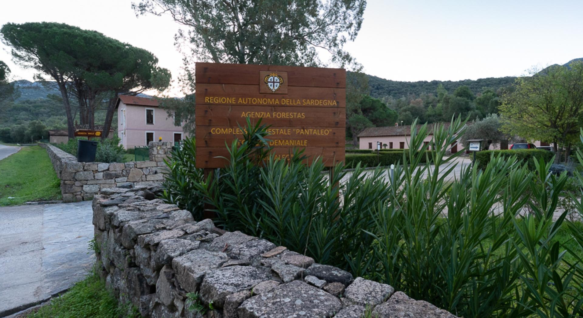 Foresta demaniale di Pantaleo Sardegna Sentieri